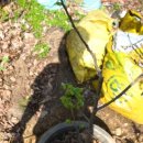 영후농장 이미지