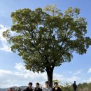 백곰유도클럽 이미지