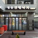 힘찬낙지 이미지