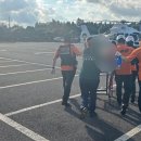 제주하다 이미지