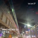 추석주간 돼지파티 일상