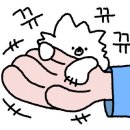 건강한식탁 파스타 이미지