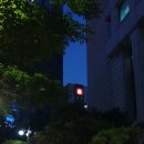 바이더경