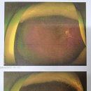 우정성모안과의원 이미지