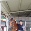 경천대일주로 이미지