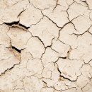 김은의한의원 이미지