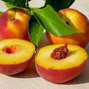 (주)이마트 평촌점 이미지