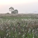 공룡알화석지방문자센터 이미지