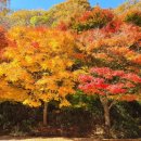 강천산군립공원(매표소) 이미지