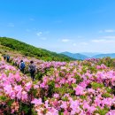예미2교 - 1842 | 예미2교