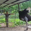 삼봉농장 이미지