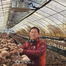 선우농장 이미지