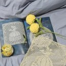 뽀댕뽀댕 이미지