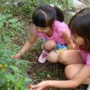 인성수산 이미지