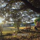 종은목장 3 이미지