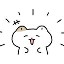 컬리빌리지 이미지