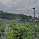 환이네농장 이미지