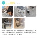 함께냥 성남점 이미지