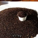 장백농장 이미지