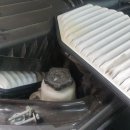 지성카서비스 이미지