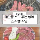 매탄동소고기 소가주는행복 소주행 식당