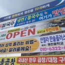 안젤라한솔영어