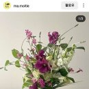 노이플라워