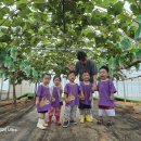 단아농장 이미지