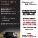명품손세차 | 광주 부분도색 후 광택까지, 보험 처리하기엔 애매한 상처