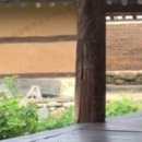 쌍암고택