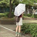 날으는고양이 | 우양산 &amp; Wpc 포켓몬 콜라보 이상해씨 5단 우양산 후기(선물용, 기념품 추천) (스탠다드프로덕트 양우산...