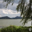 하단동1240 이미지