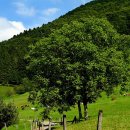 소설로 배우는 영어 이미지