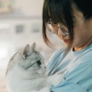 힐링동물의료센터 네이버블로그