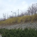 엄마밥 - 서구 | 엄마밥