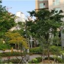 갤럭시공인중개사사무소 이미지