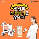 디케이라이프 이미지