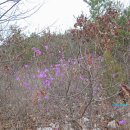 중앙부분정비공업사 이미지