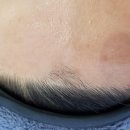 미앤유 헤어라인