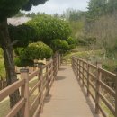 도계체육공원 축구장 이미지