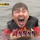 돼지수산 이미지