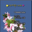 I respect you. 이미지