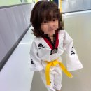 아이스타 태권도장 이미지