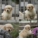 올림푸스원 이미지