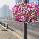 청라대로(공촌3교) 이미지