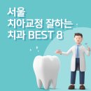 (최신) 서울 치아교정 잘하는 후기가 좋은 치과 BEST 8 &amp; 치아교정 가격