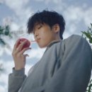 스왈로우 이미지