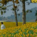 임자농협하나로마트