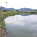 송산낚시 이미지