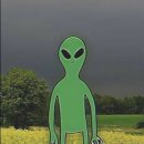 잉카의 태양 | 대구 스케일 큰 지구별 방탈출 :: 잉카 후기 인생 첫 꽃밭길